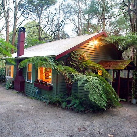 Cottage In The Forest Олинда Номер фото
